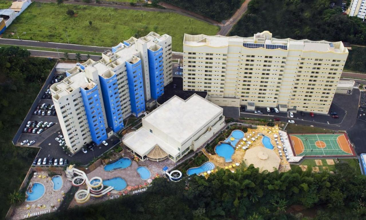 Golden Dolphin Gran Standard - Viva Ferias